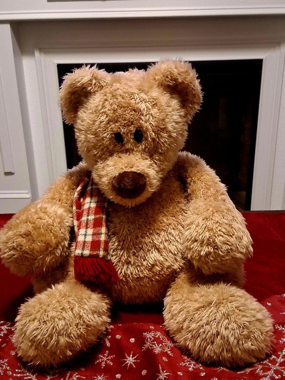 Gund Winter Bear - Picture 5 of 5